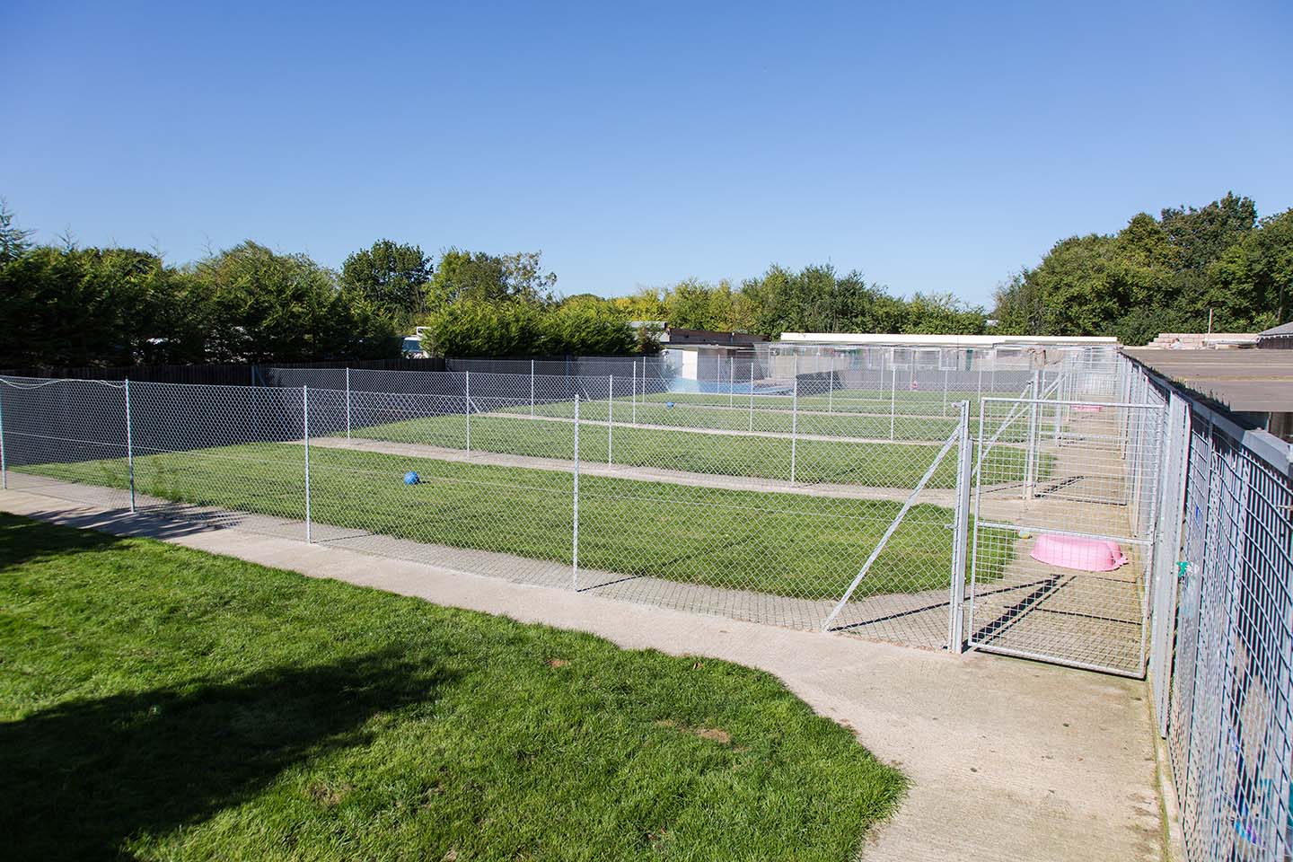 Dog Boarding Three Oaks Boarding Kennels Dog Boarding Kennels and