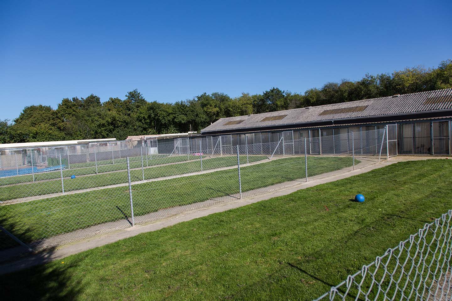 Dog Boarding Three Oaks Boarding Kennels Dog Boarding Kennels and