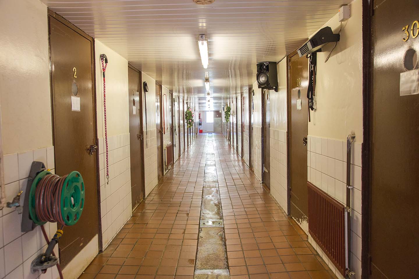 Dog Boarding Three Oaks Boarding Kennels Dog Boarding Kennels and